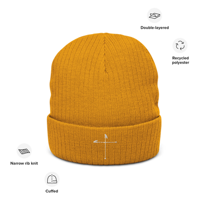 Ski Pole Cross Beanie