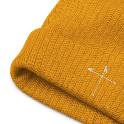 Ski Pole Cross Beanie